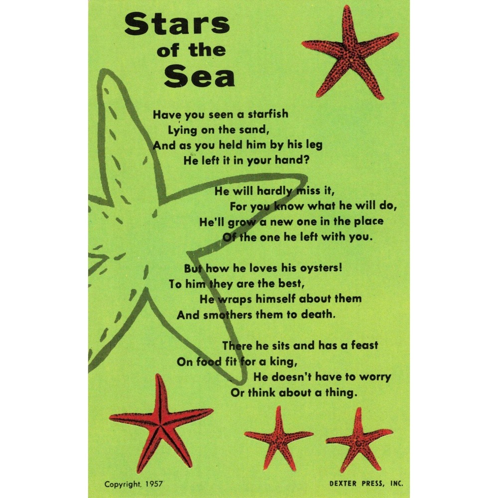 Vintage 1957 Dexter Press Stars of the Sea Starfish Poem Postcard DT-432-B VG+